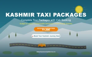 Kashmir Taxi Packages